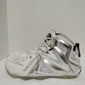 lebron 12 elite pigalle